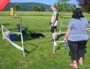 stt