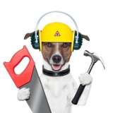 bild hund arbeitstag
