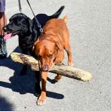 dsc