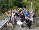 dsc